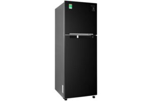 Tủ lạnh Samsung Inverter 256 lít RT25M4032BU/SV